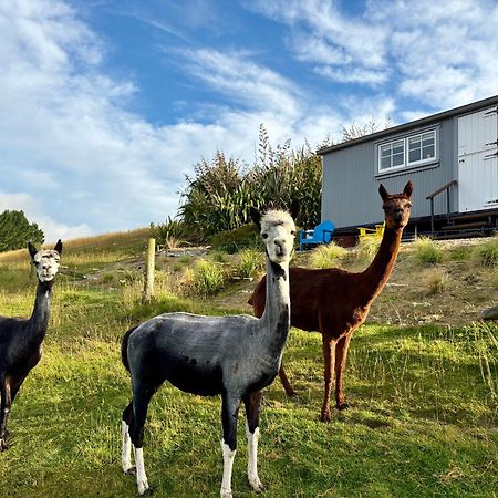 Hotel The Shepherd'S Rest Oamaru Esterno foto