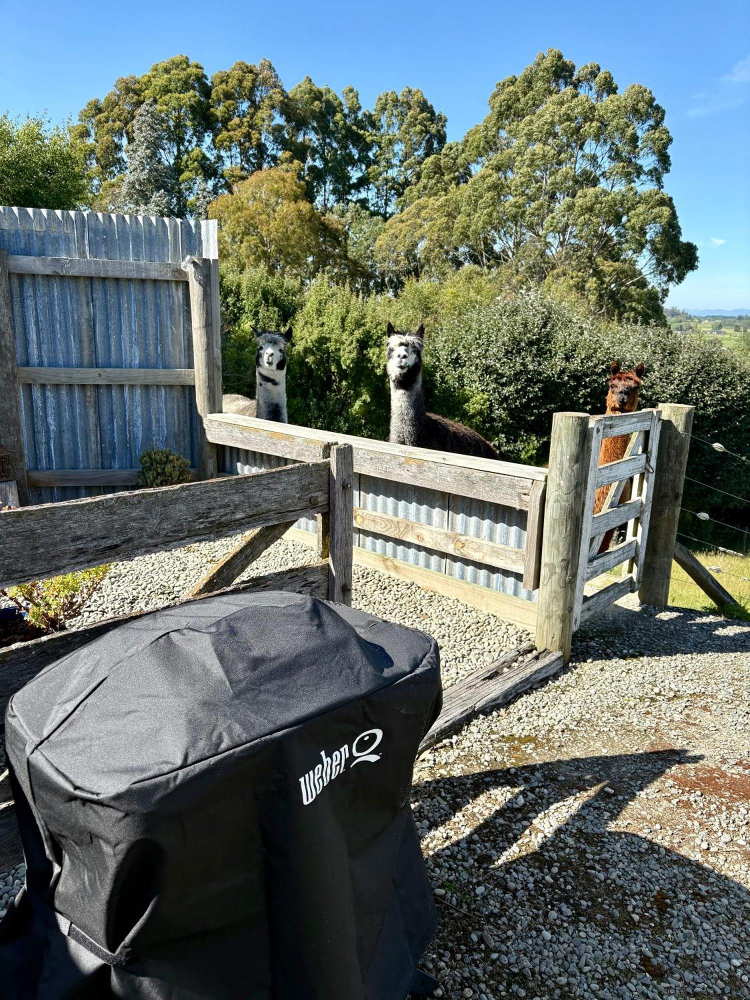 The Shepherd'S Rest Oamaru Esterno foto