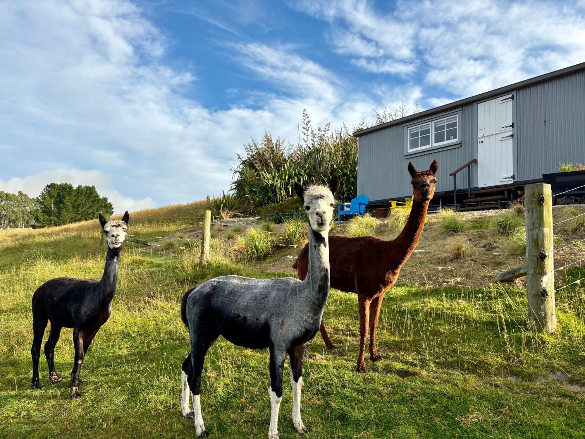 Hotel The Shepherd'S Rest Oamaru Esterno foto